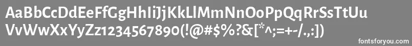 AlegreyasansBold Font – White Fonts on Gray Background