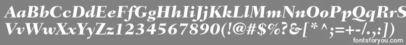 Шрифт FairfieldltstdHeavyitalic – белые шрифты на сером фоне