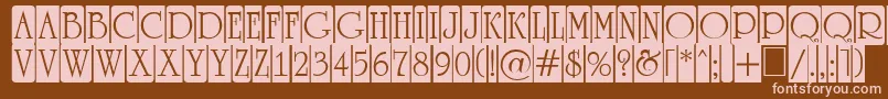 ARomanusttlcmd5cb Font – Pink Fonts on Brown Background