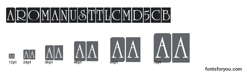 ARomanusttlcmd5cb Font Sizes