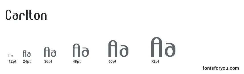 Carlton Font Sizes