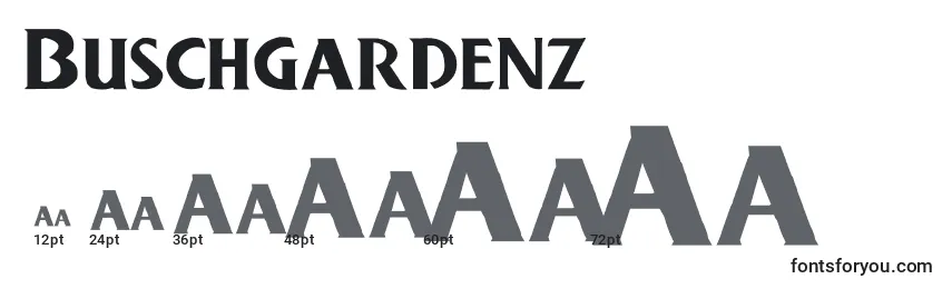 Buschgardenz Font Sizes