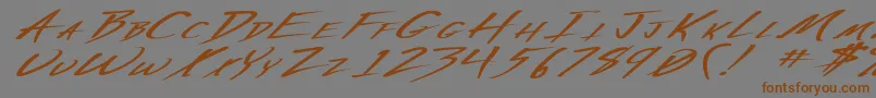 VeckerExBoldItalic Font – Brown Fonts on Gray Background