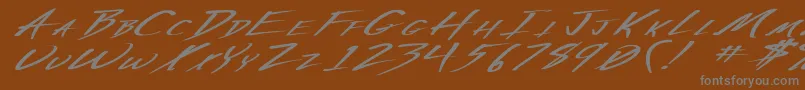 VeckerExBoldItalic Font – Gray Fonts on Brown Background
