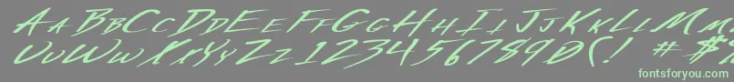 VeckerExBoldItalic Font – Green Fonts on Gray Background