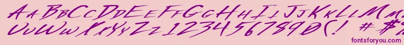 VeckerExBoldItalic Font – Purple Fonts on Pink Background