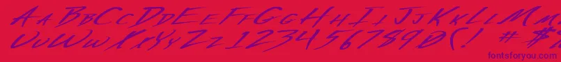 VeckerExBoldItalic Font – Purple Fonts on Red Background