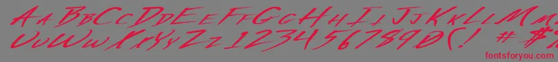 VeckerExBoldItalic Font – Red Fonts on Gray Background