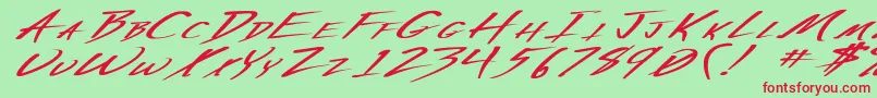 VeckerExBoldItalic Font – Red Fonts on Green Background