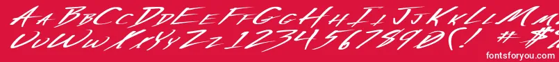 VeckerExBoldItalic Font – White Fonts on Red Background
