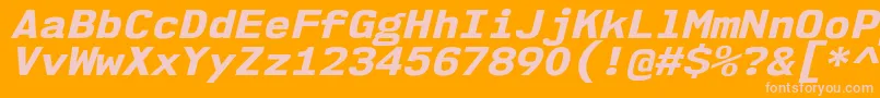 Nk57MonospaceSeEbIt Font – Pink Fonts on Orange Background