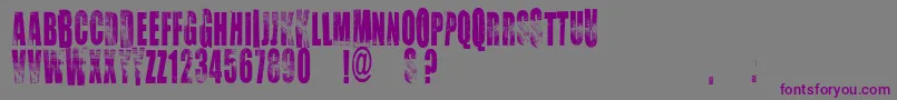 Vtkschoice-Schriftart – Violette Schriften auf grauem Hintergrund