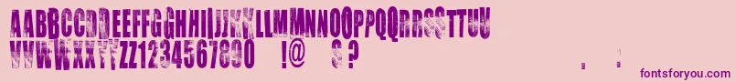 Vtkschoice Font – Purple Fonts on Pink Background