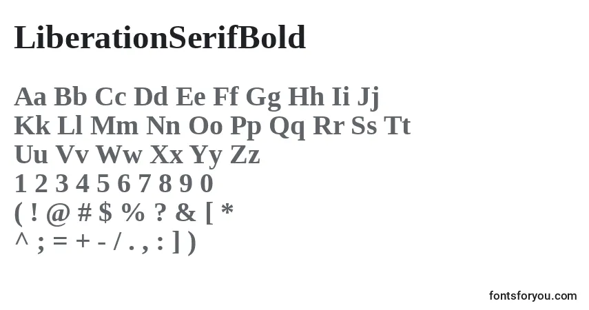 Czcionka LiberationSerifBold – alfabet, cyfry, specjalne znaki
