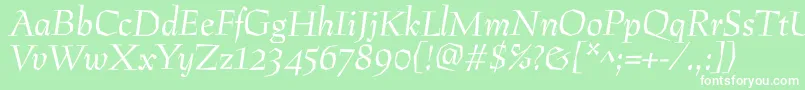 PreissigantikvaItalic Font – White Fonts on Green Background