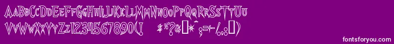 Walsheso Font – White Fonts on Purple Background