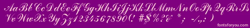 GrimparRegular Font – Pink Fonts on Purple Background