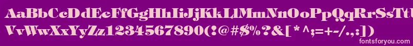 SophisticateBlackSsiBold Font – Pink Fonts on Purple Background