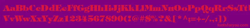 SophisticateBlackSsiBold Font – Red Fonts on Purple Background