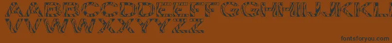 フォントZebraTfb – 黒い文字が茶色の背景にあります