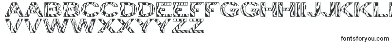 Шрифт ZebraTfb – тяжелые шрифты