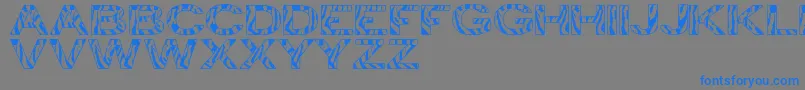 Czcionka ZebraTfb – niebieskie czcionki na szarym tle