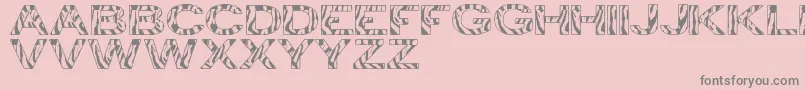 ZebraTfb Font – Gray Fonts on Pink Background