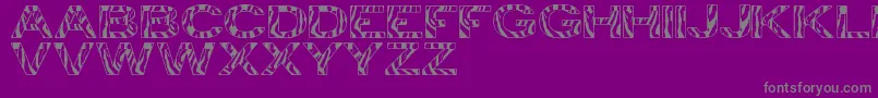 Czcionka ZebraTfb – szare czcionki na fioletowym tle