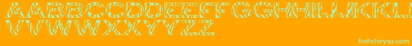 ZebraTfb Font – Green Fonts on Orange Background