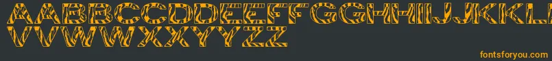 ZebraTfb Font – Orange Fonts on Black Background