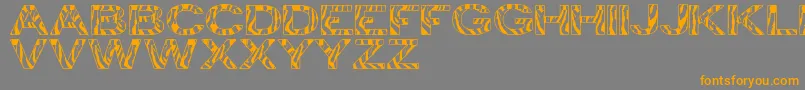 fuente ZebraTfb – Fuentes Naranjas Sobre Fondo Gris