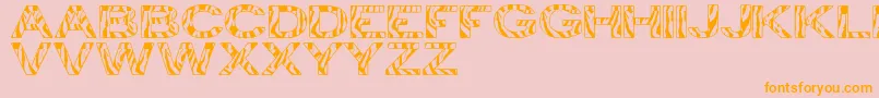 ZebraTfb Font – Orange Fonts on Pink Background