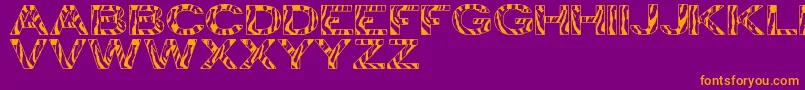 Czcionka ZebraTfb – pomarańczowe czcionki na fioletowym tle