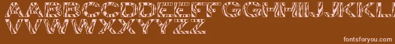 ZebraTfb Font – Pink Fonts on Brown Background