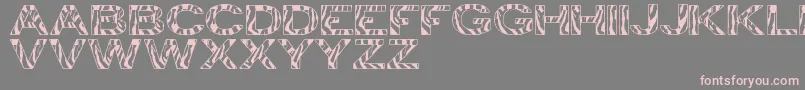 ZebraTfb Font – Pink Fonts on Gray Background