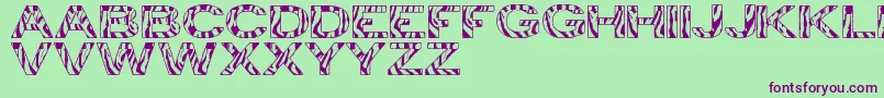 ZebraTfb Font – Purple Fonts on Green Background