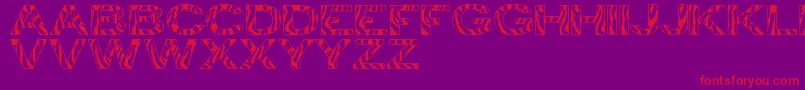 ZebraTfb Font – Red Fonts on Purple Background