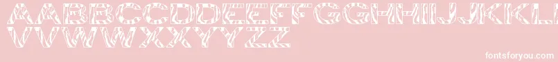ZebraTfb Font – White Fonts on Pink Background