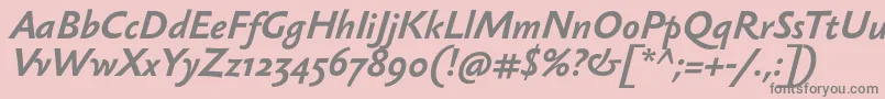 SebastiantextBolditalic Font – Gray Fonts on Pink Background