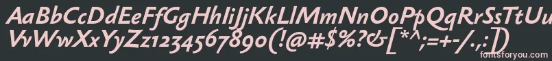 SebastiantextBolditalic Font – Pink Fonts on Black Background