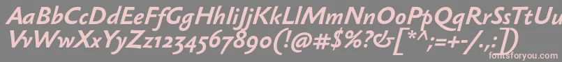 SebastiantextBolditalic Font – Pink Fonts on Gray Background
