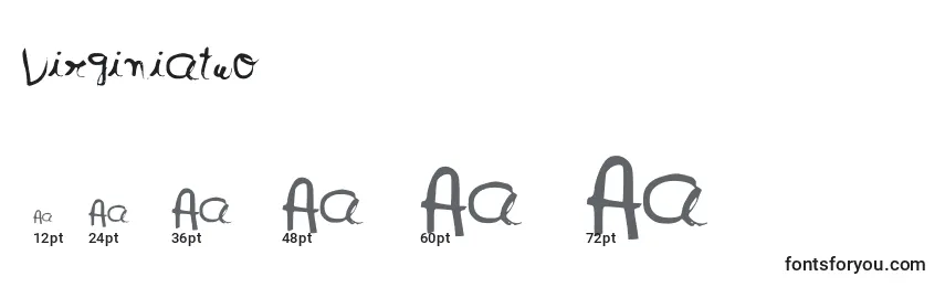 Virginiatwo Font Sizes