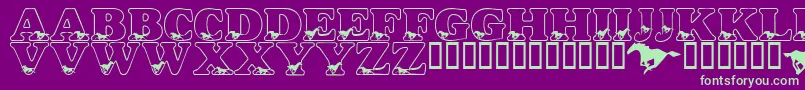 LmsAliciasHorses Font – Green Fonts on Purple Background