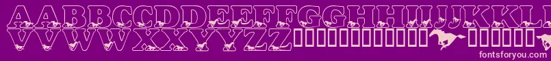 LmsAliciasHorses Font – Pink Fonts on Purple Background