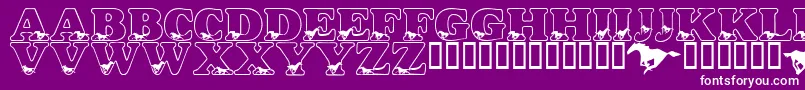 LmsAliciasHorses Font – White Fonts on Purple Background