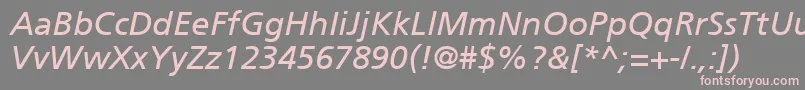ForeignerItalic Font – Pink Fonts on Gray Background