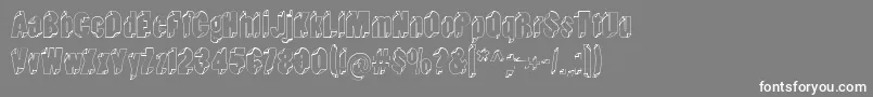 Typeinthewind Font – White Fonts on Gray Background