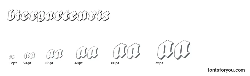 Размеры шрифта Biergartenris