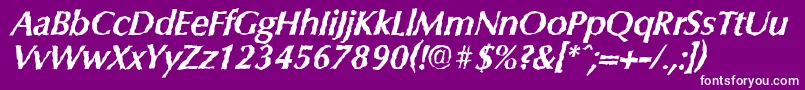 ColumbiarandomBolditalic Font – White Fonts on Purple Background