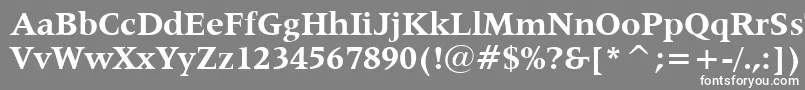 フォントLatin725BoldBt – 灰色の背景に白い文字